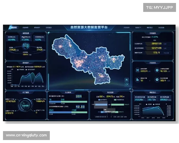 实时数据可视化与视频流同步，丰富信息维度